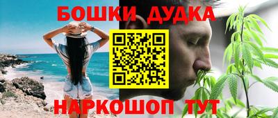 Альфа ПВП Лесосибирск