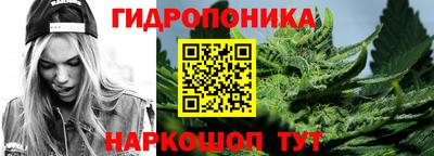 Альфа ПВП Лесосибирск