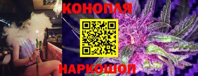 Альфа ПВП Лесосибирск