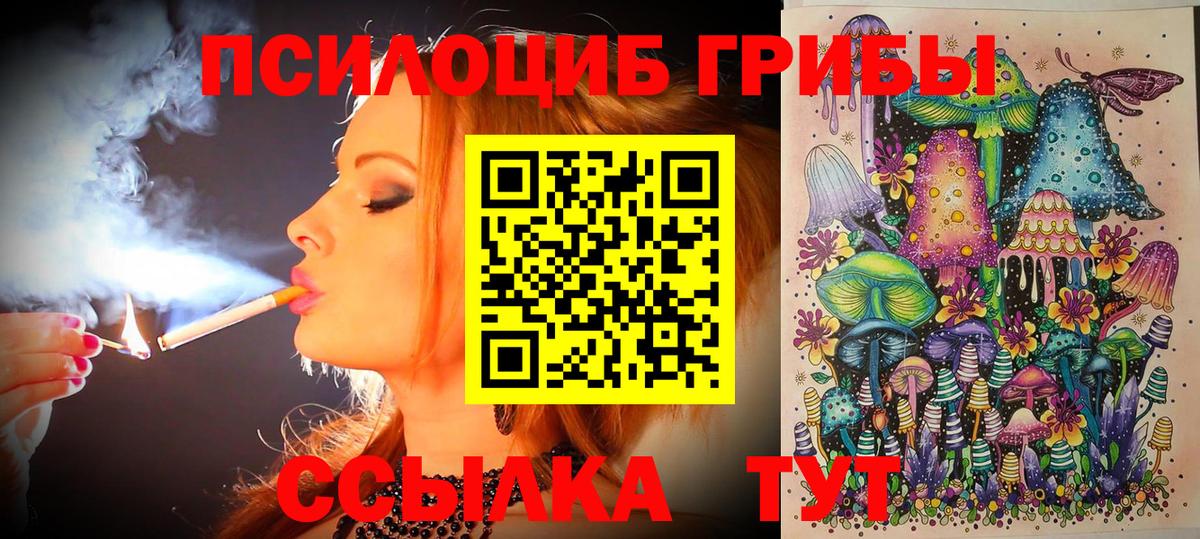 Ухта  Псилоцибиновые грибы мицелий  Вход с VPN 
