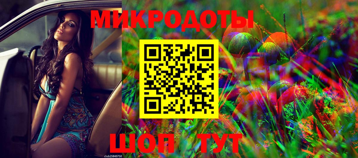 Псилоцибиновые грибы Psilocybe Ухта